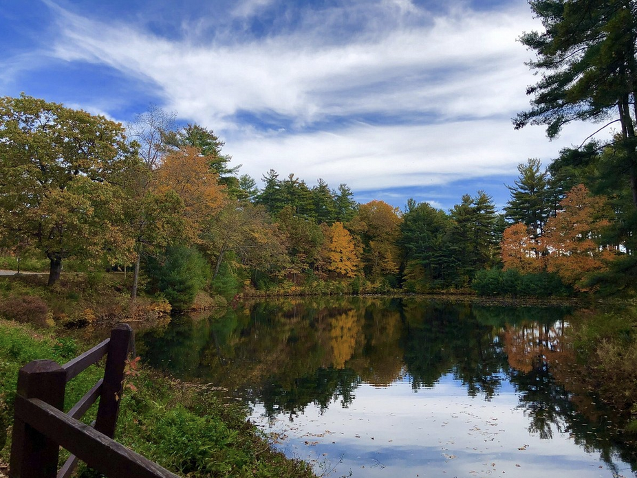 Private memorial music